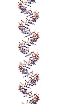 RNA molecule, structural fragment of A-form Stock Illustration