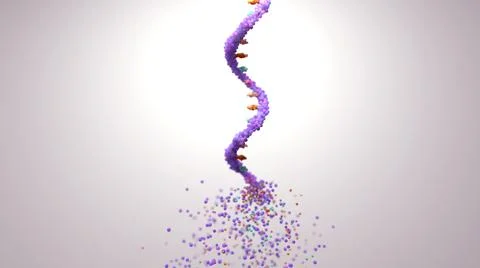 RNA viruses mutation, a mutation a an alteration in the sequence of the genome Stock Illustration
