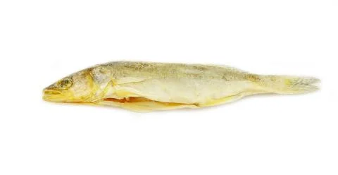 Roach fishes Stock-Fotos