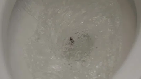 Roach gets flushed down toilet Stock Footage 279860709