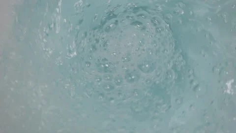 Roach gets flushed down toilet Video stock 313908967