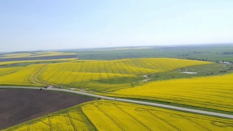 Road across the field Stock Footage 99210332