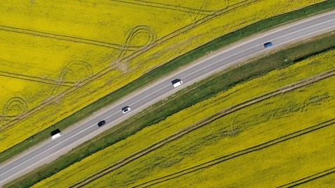 Road across the fields Stock Footage 99341193