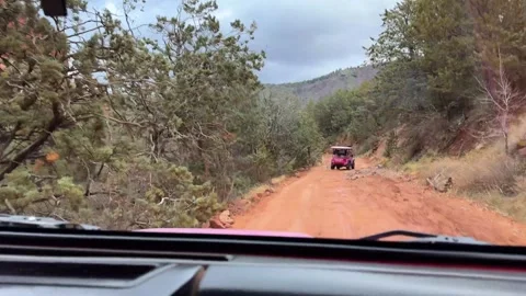 Off-Road Adventure in Dense Forest Stock Footage 276192779