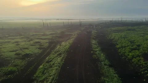 The road after hostilities. Tanks and cars were blown up after the hostilities. Vídeos de archivo 242535099
