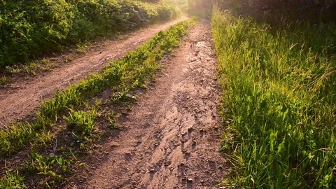 Road after rain Stock Footage 110840395