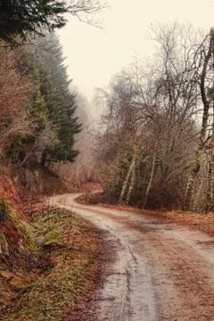 On the road again Stock Photos