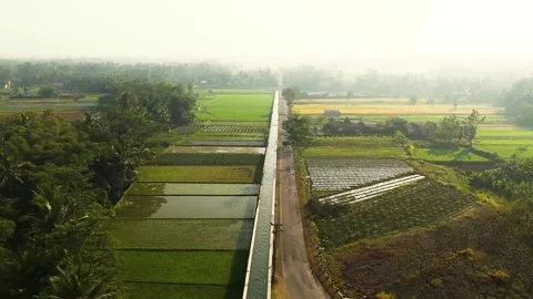 Road ahead, irrigation tunnel path, green field forest, morning village cityside Stock-Footage 253619477