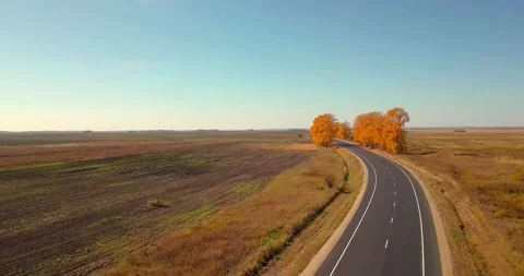 The road along the harvested fields Stock Footage 310540186
