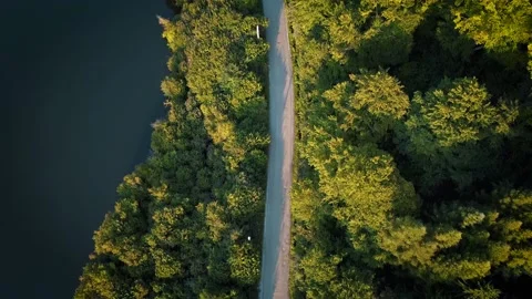 Road along a Lake Stock Footage 233329943