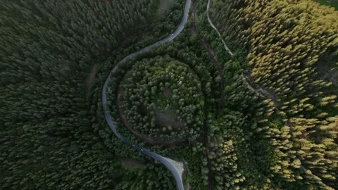 The road along with the railway between trees in Bulgaria Stock Footage 222971630