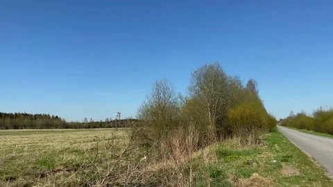 A road along a spring field with young trees, flies fly, an unauthorized dump of Stock Footage 130792993