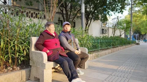 The road along the winter river in the suburbs of Shanghai, China in December. A 스톡 동영상 300344530