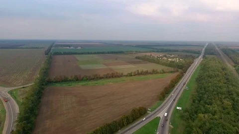 Road among fields Stock Footage 95969837