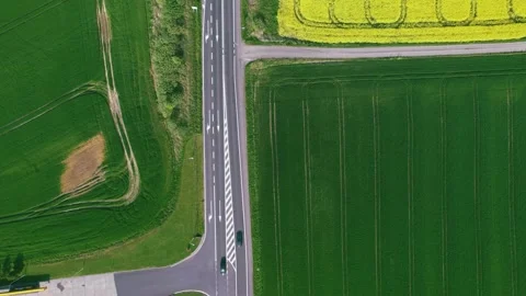The road among the fields. Stock Footage 241647205