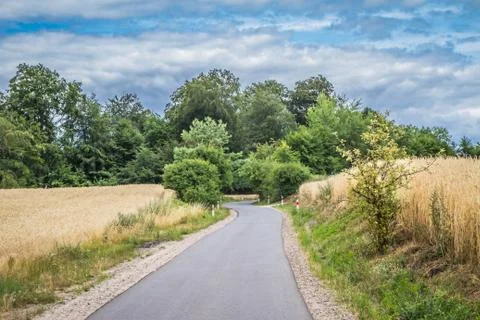Road among fields Stock Photos