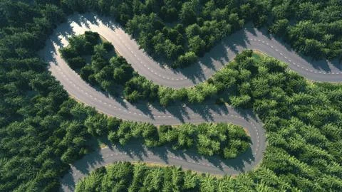 Road among the forest, top view, comparison of the river arteries 3d render Illustrazione stock
