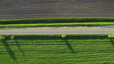 Road among green fields and meadows. Drone video on a sunny day Stock Footage 158153050