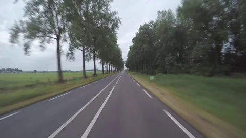 Road amoung the trees-clip Stock Footage 83480942