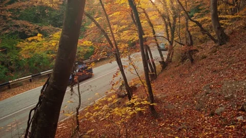 Road and autumn Stock Footage 164348140