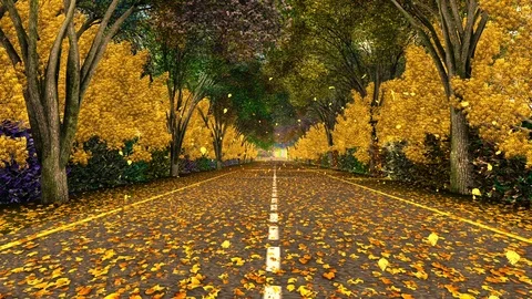 ROAD and autumn trees,leaf falling Stock Footage 88657532