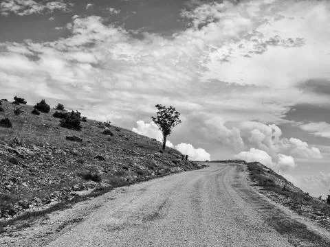 Road and clouds Stock Photos