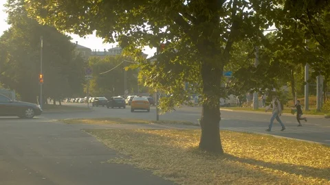 Road and crosswalk Stock Footage 112723213