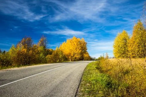 Road and Fall Stock Photos
