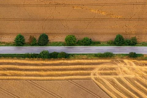 The road and fields Stock Photos