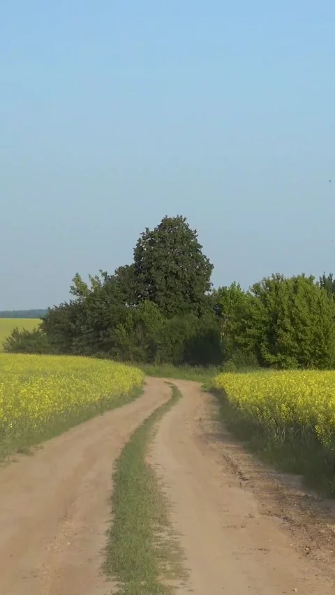 Road and fields in the village four seasons of the year. 库存影片 334936087