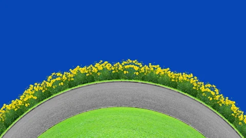 Road and flower on bluescreen Stock Footage 135936662