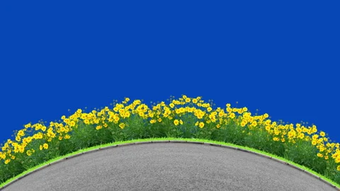 Road and flowers on bluescreen Stock Footage 135936674