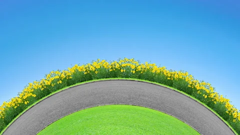 Road and flowers Stock Footage 135936681