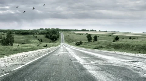 Road and flying birds Stock Footage 45984585