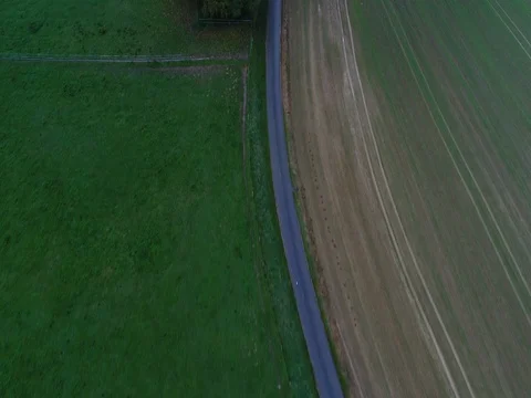 Road and forest Stock Footage 83082416