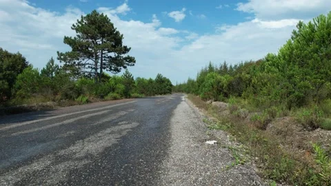 Road and forest Stock Footage 205730741