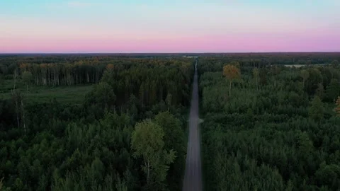 Road and Forest Stock Footage 253639497