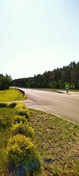 Road and forest. Stock Photos