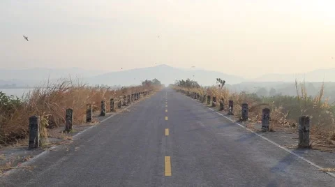 Road and grass Stock Footage 55777604