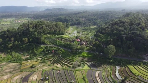 Road and rice fields ascend Stock Footage 329878523