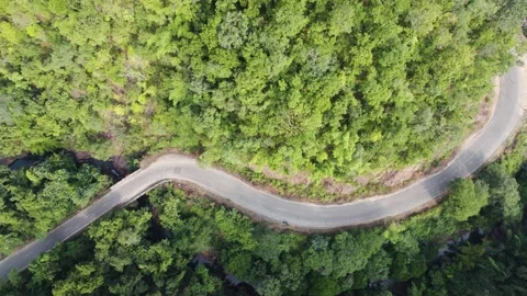Road and river in forest top down drone shot 4k 30p Stock Footage 231334663
