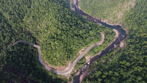 Road and river side by side on forest drone shot 4k 30p Stock Footage 231306619