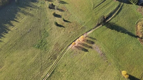 ROAD AND SHEEP Stock Footage 166403627