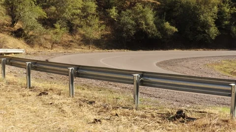 Road and trees Stock Footage 249448884