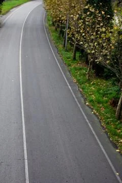 Road and trees Stock Photos