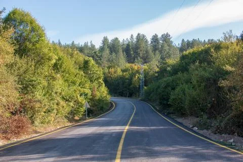 Road and trees Stock Photos