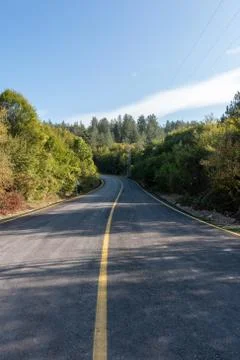 Road and trees Stock Photos