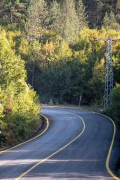 Road and trees Stock Photos