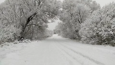 Road and trees in snow (1) Stock Footage 297562963