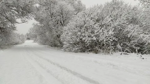 Road and trees in snow (2) Stock Footage 297562962
